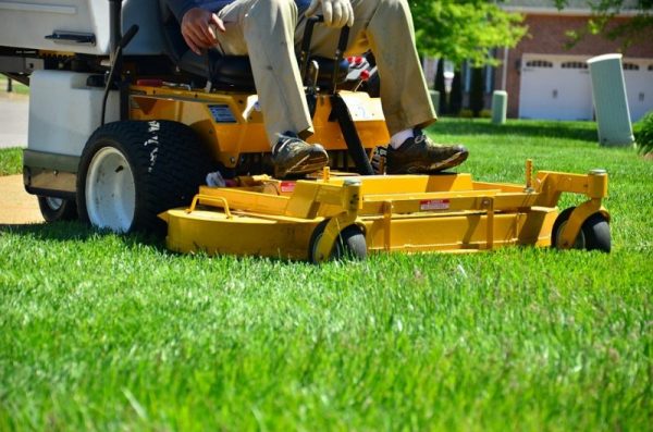 professional lawn mowing service