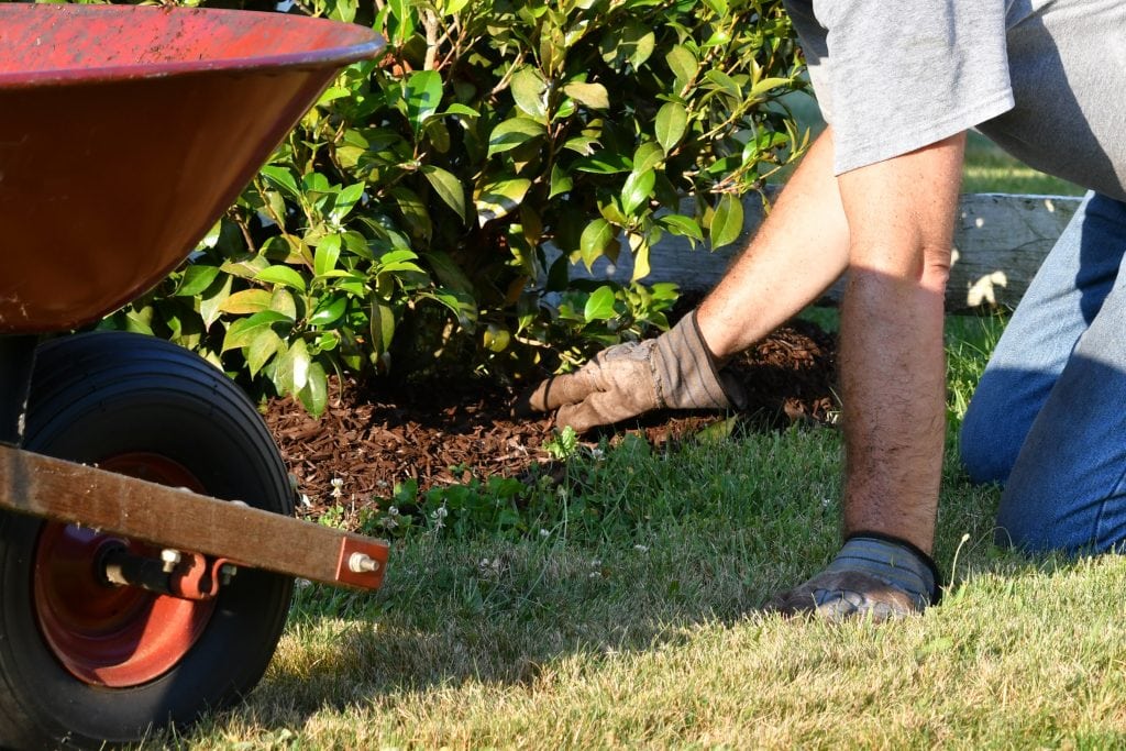 Mulching Service